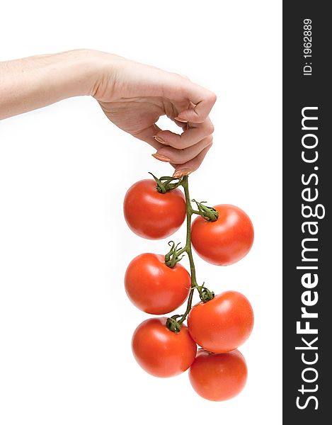 Woman hand holding a cluster of six tomatoes isolated on white. Woman hand holding a cluster of six tomatoes isolated on white