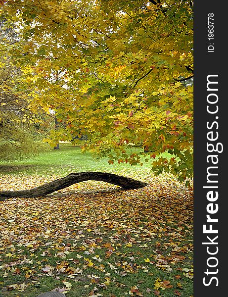 Fall foliage colors at Hyde Park New York. Fall foliage colors at Hyde Park New York