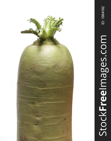 Tasty white radish isolated on white  background