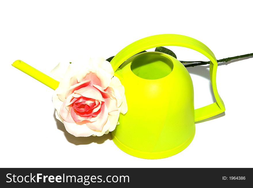 Watering can with white rose white background. Watering can with white rose white background