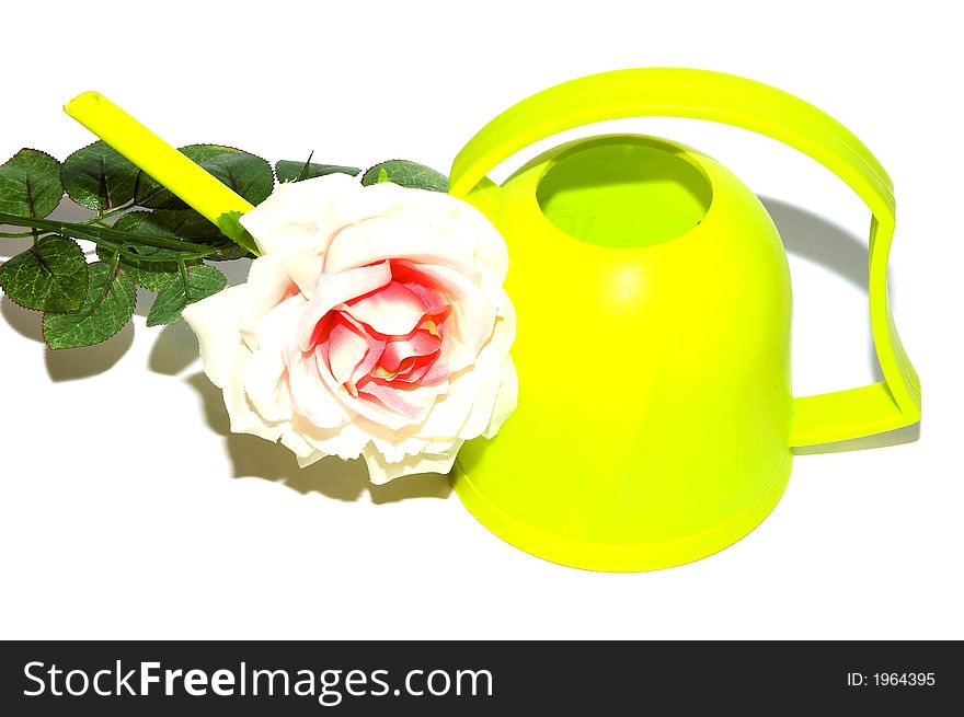 Watering can with white rose white background. Watering can with white rose white background