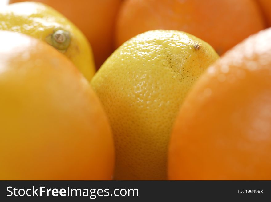 Oranges and lemons close-up view