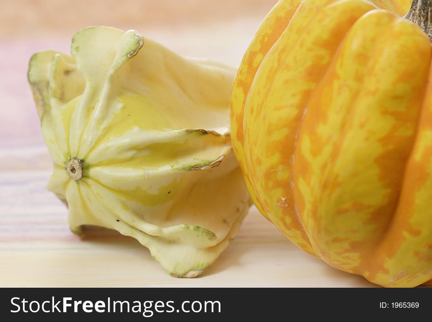 Detail of two sorts of pumpkin. Detail of two sorts of pumpkin