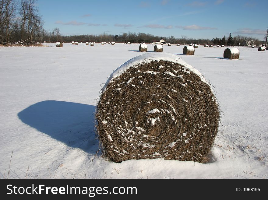 Pattern in a winter field - snowcaps on rolls of hay
