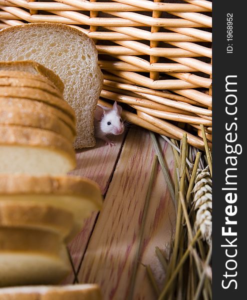Bread is one of the basic kinds of food in European countries. Bread is one of the basic kinds of food in European countries.