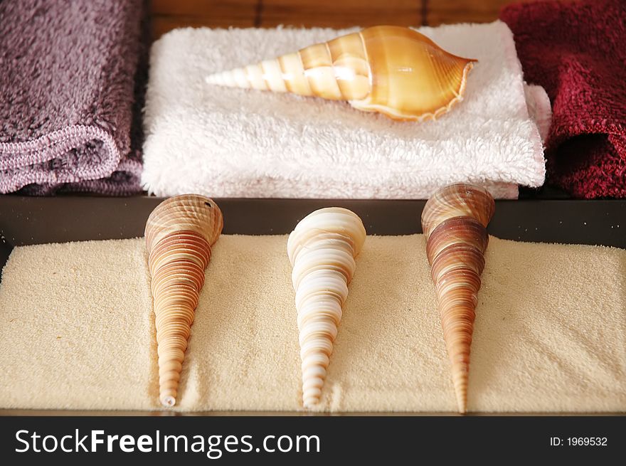 Sea shells and towels all positioned to create health concept