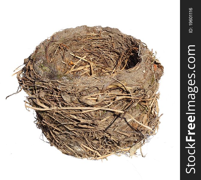 Bird nest, isolated