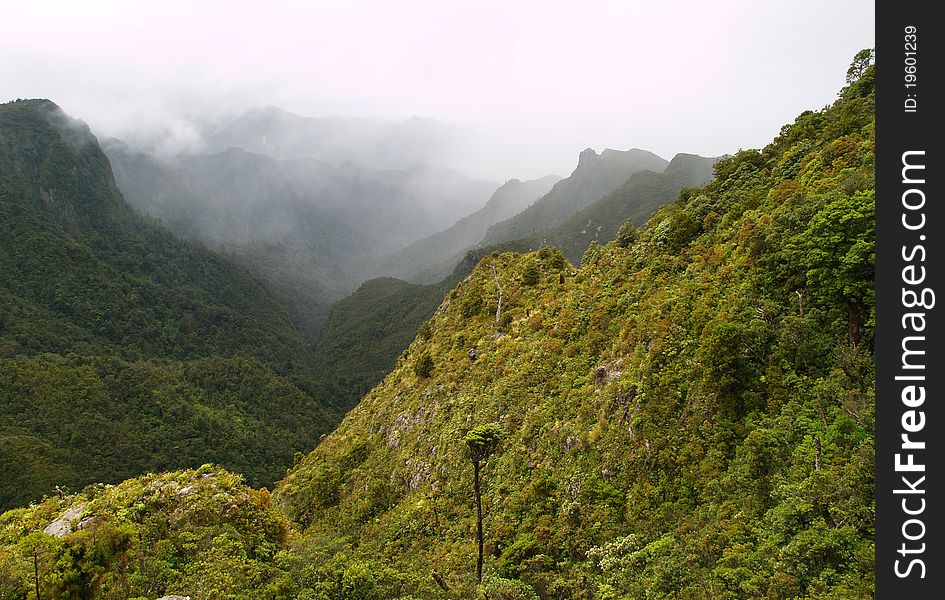 The Pinnacles, Coromandel peninsula, New Zealand