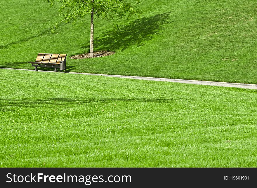 Wooden bench in a city park