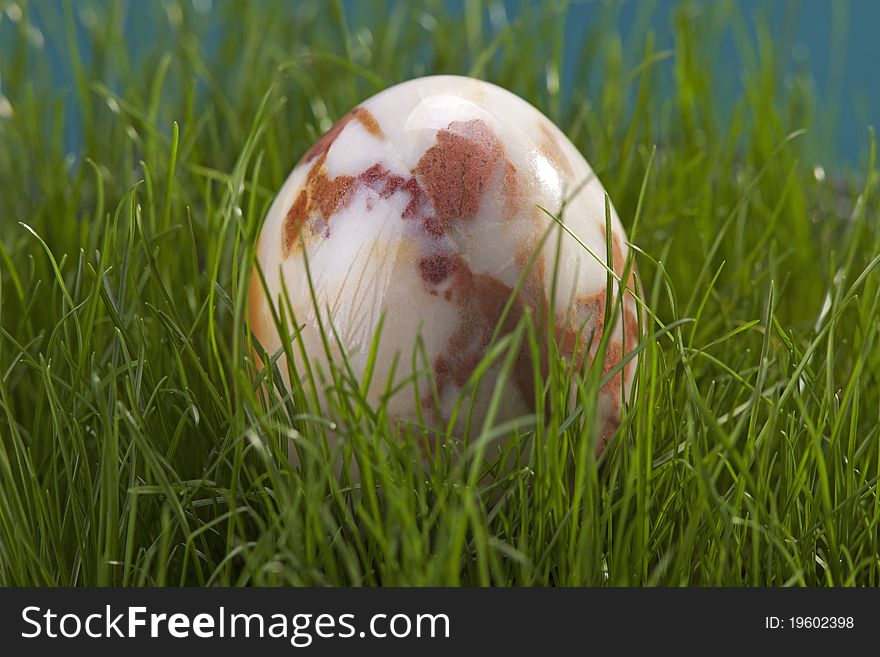 Marble egg in green grass