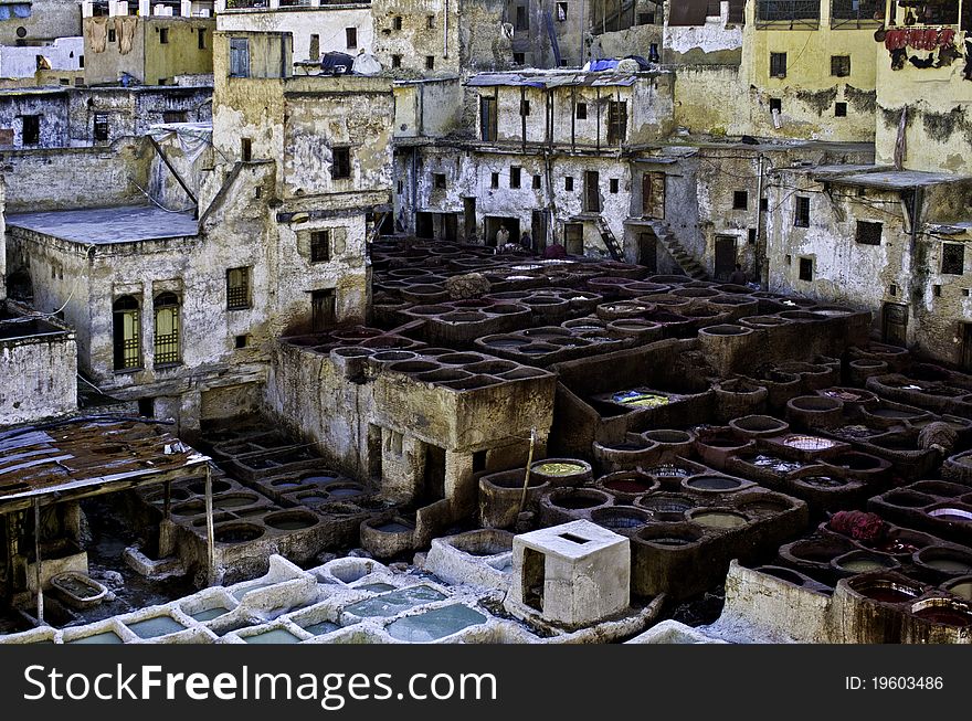 Wonderful natural tannery in Fez