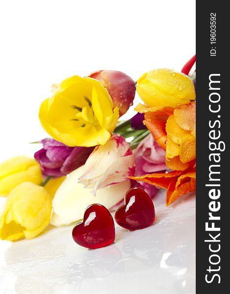 Lovely spring colored tulips with water drops lie in the bouquet in the foreground of the two red glass hearts. Isolated. Lovely spring colored tulips with water drops lie in the bouquet in the foreground of the two red glass hearts. Isolated