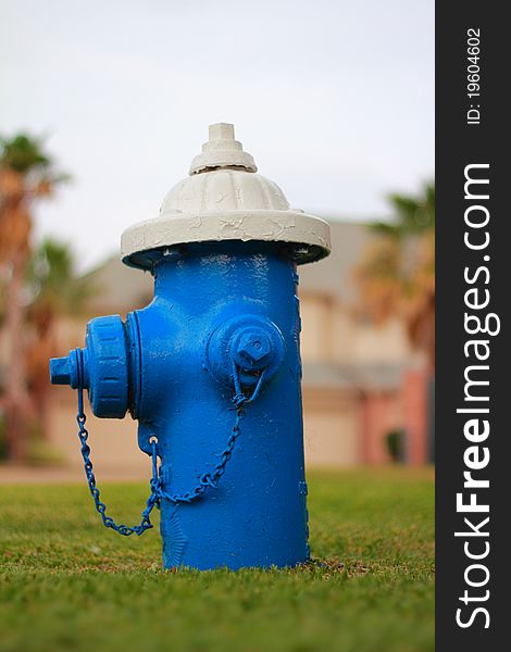 Bright blue fire hydrant connection