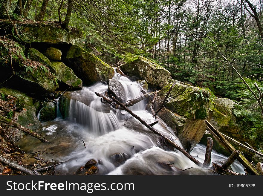 Forest Stream Cascades through Rocks