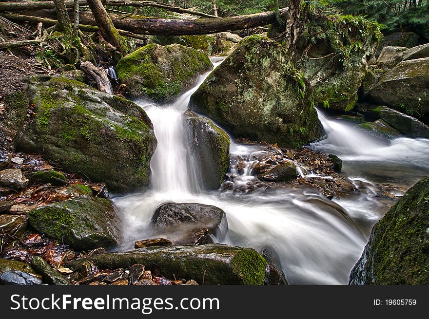 A flowing spring stream cascades through moss-covered rocks. A flowing spring stream cascades through moss-covered rocks.