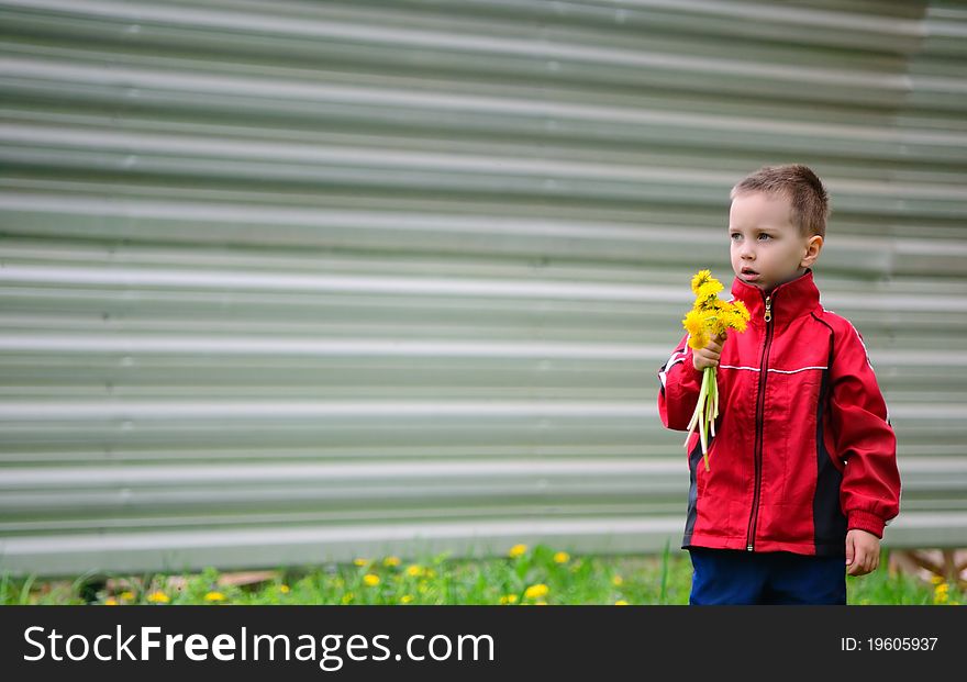 The boy near a fence collects flowers. The boy near a fence collects flowers