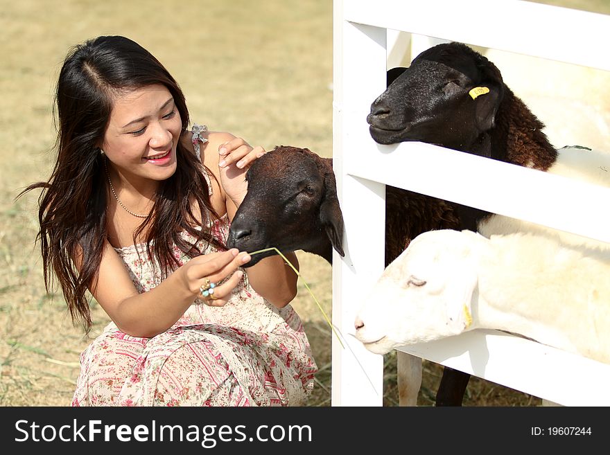 Young pretty cheerful woman with lamb on a countryside