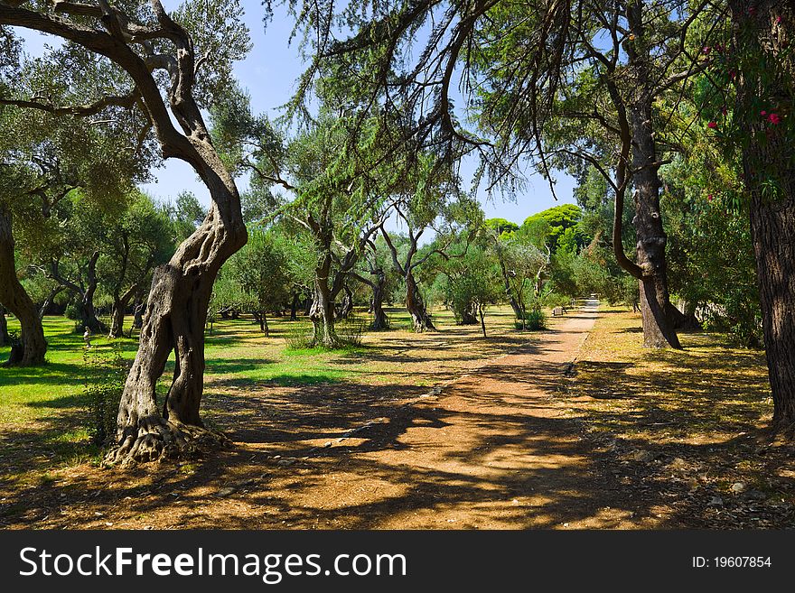 Pathway in park at Croatia - nature travel background