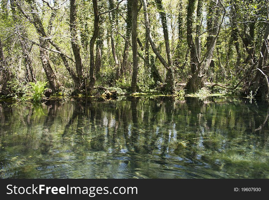 Springs of black river, Ohrid, Macedonia. Springs of black river, Ohrid, Macedonia