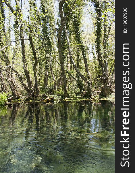 Springs of black river, Ohrid, Macedonia. Springs of black river, Ohrid, Macedonia