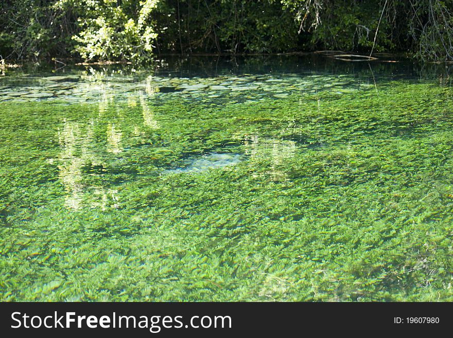 Springs of black river, Ohrid, Macedonia. Springs of black river, Ohrid, Macedonia