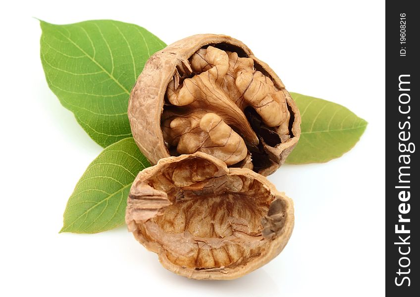 Dried walnut with leaf close up