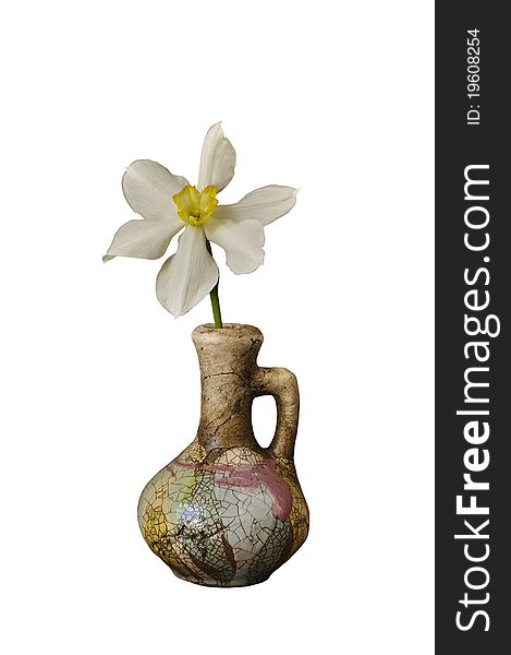 Narcissus in a ceramic jug on the white isolated background