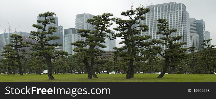 Tokyo Imperial Palace surroundings with view over the garden.