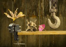 Hook, Skull, Umbrella And Dryed Flower Stock Photos Hook, Skull, Umbrella And Dryed Flower Stock Photos