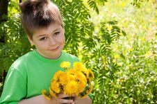 A Boy With A  Dandelions Royalty Free Stock Image