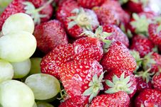 Strawberry And Vine Stock Photos
