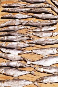 Dried Salted Fish Stock Photo Dried Salted Fish Stock Photo