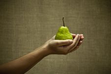 Green Pear In Female Hands Stock Image Green Pear In Female Hands Stock Image