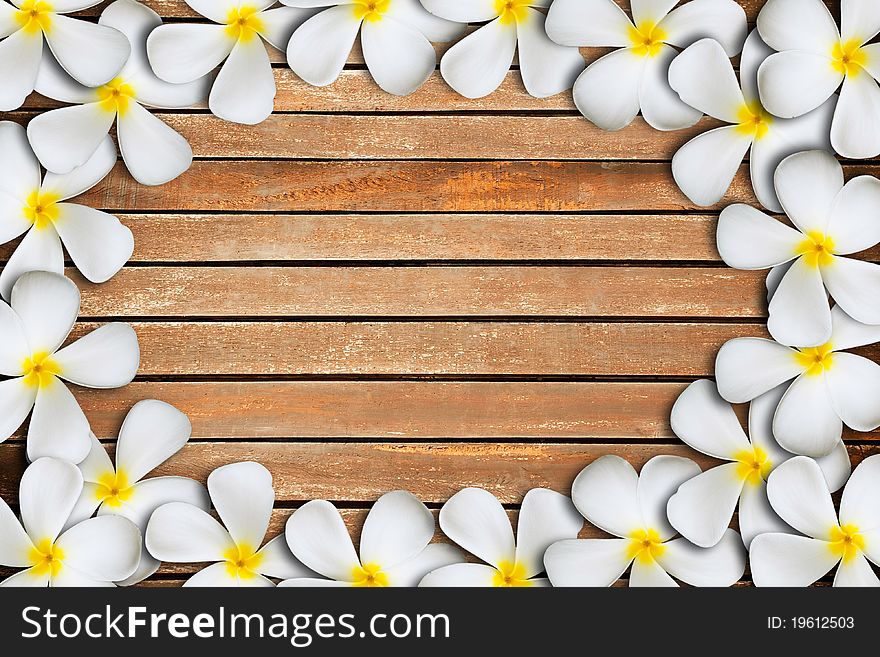 White plumeria flower frame on Wood Pattern