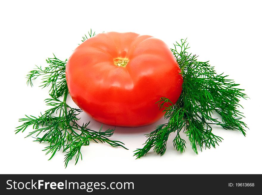 Red tomate and green dill isolated. Red tomate and green dill isolated