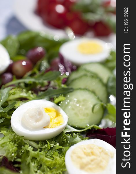 Sliced eggs on a mixed salad bed. Sliced eggs on a mixed salad bed