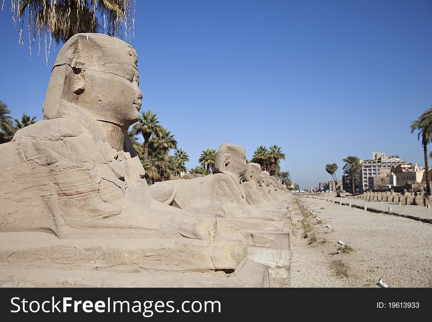 Sphinx Avenue in Luxor, Egypt. Sphinx Avenue in Luxor, Egypt
