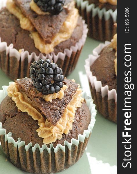 Chocolate cupcakes with frosting and blackberries.