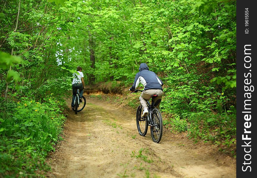 Young Man On A Bicycle