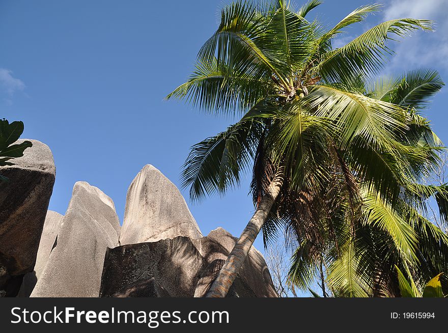 Typical Rock Formation at Anse Source d` Argent, La Digue, seychelles