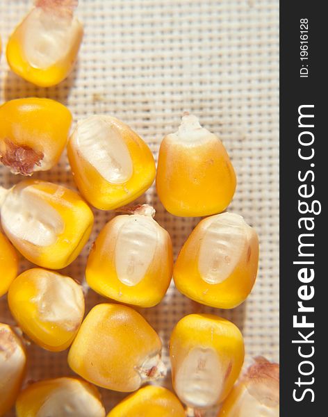 Corn seeds macroon linen tablesheet