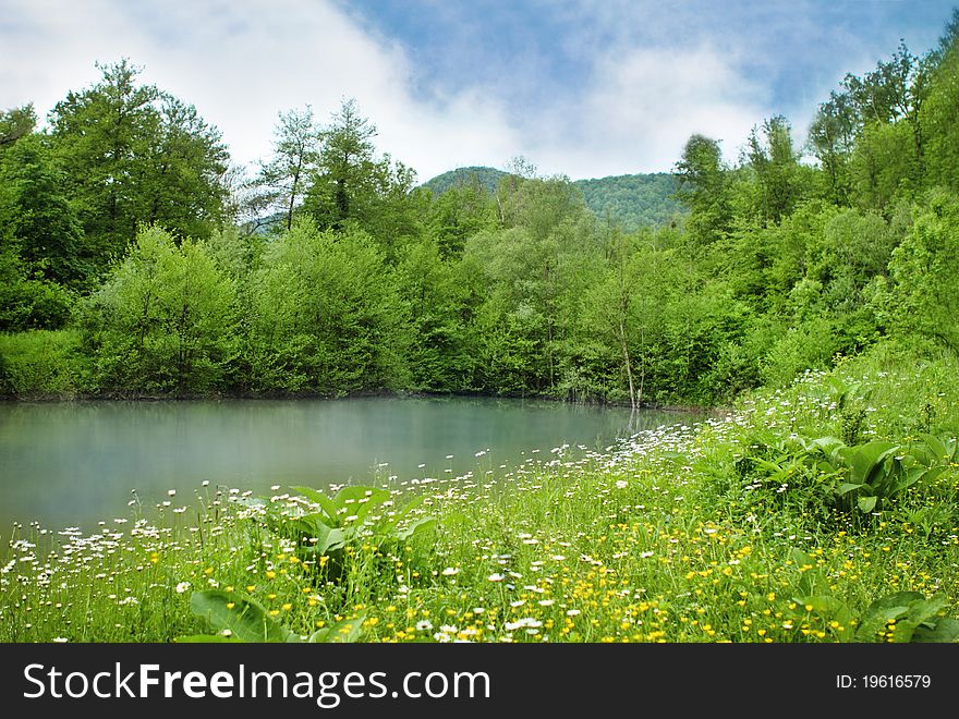 Beautiful mountain summer lake and daisy field