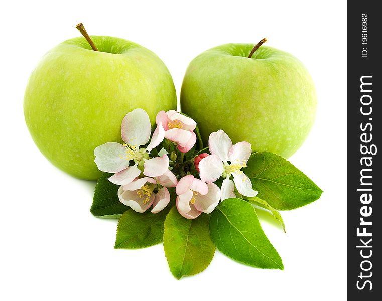 Apples and  blossom on a white background. Apples and  blossom on a white background