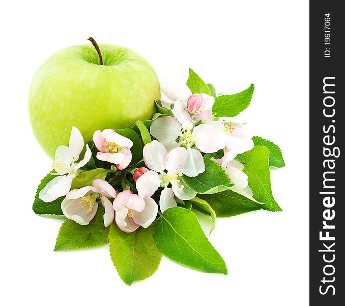 Apple and flower blossom on a white background