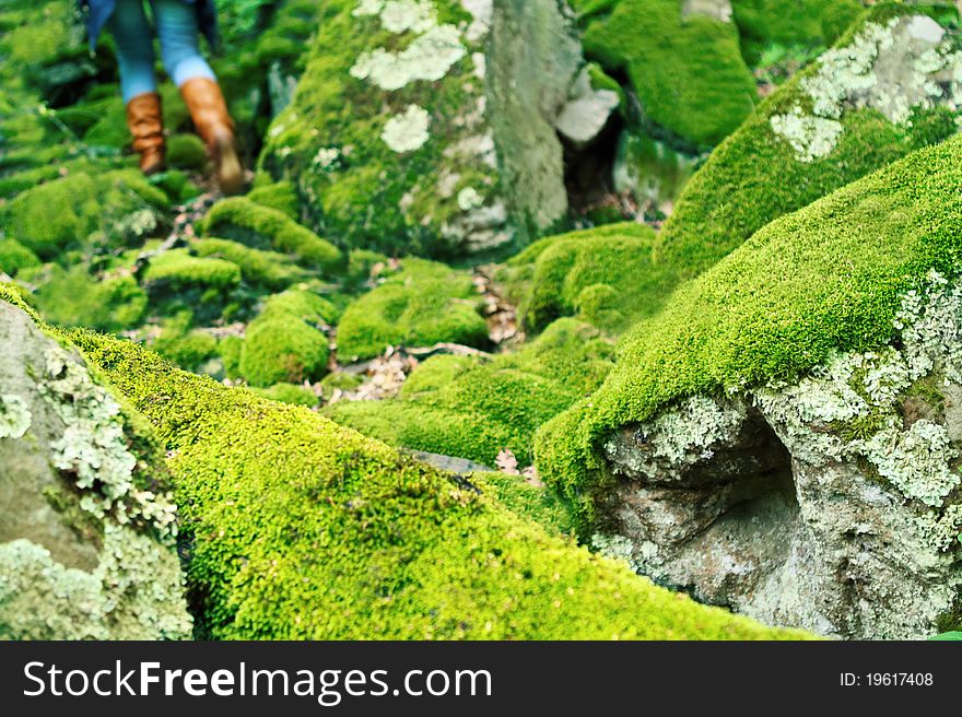 Mossy large rocks in the forest and walking woman
