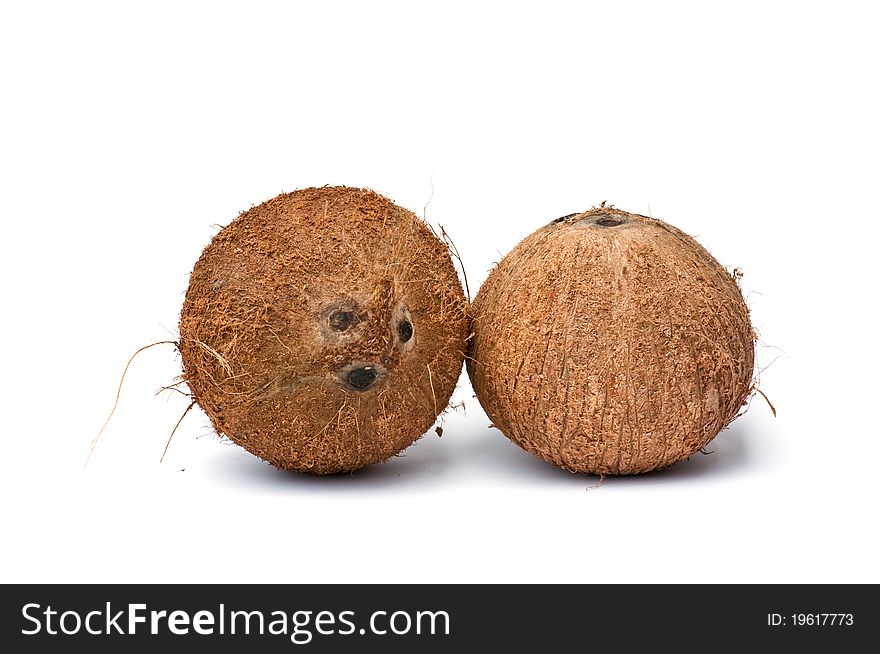 Coconut Isolated On White Background