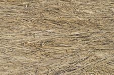 Dry Grass Background Stock Photography Dry Grass Background Stock Photography