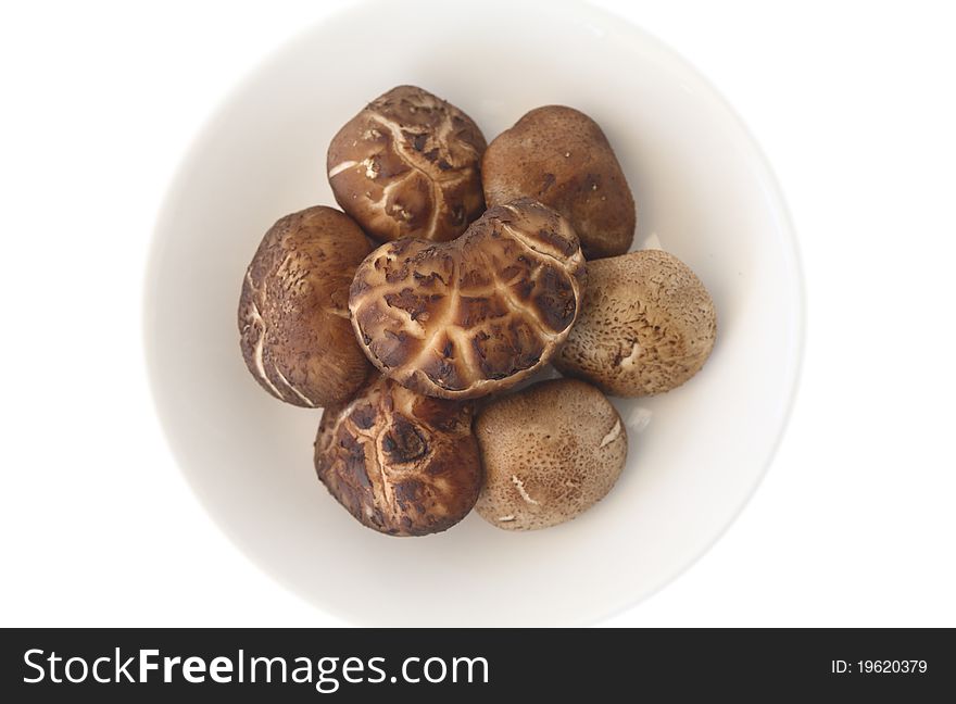 Shiitake mushroom isolated on white