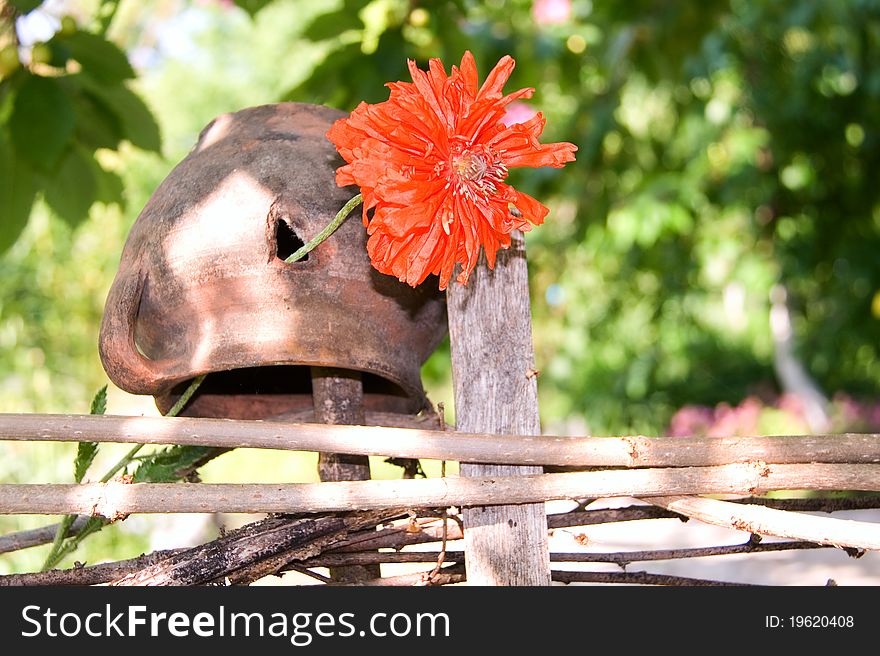 Holed pot on fence with poppy flower in it