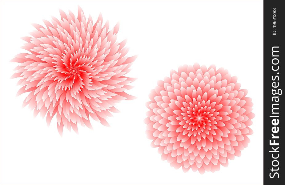 Rose flower illustration to like element for design